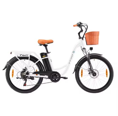 Electric bicycle TTGO 20Ah 250W