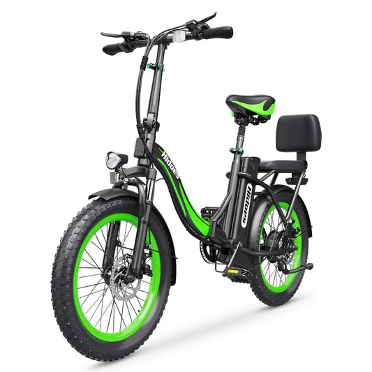 Electric bicycle Hidoes C1 13Ah 750W