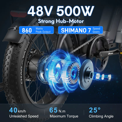 Electric bicycle Fafrees FF20 2x10,4Ah 500W