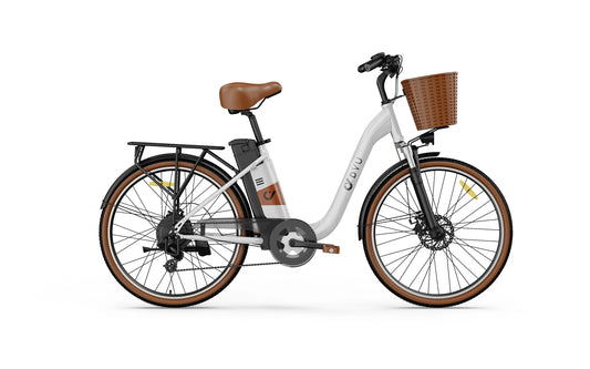 Electric bicycle DYU C6 12,5Ah 250W