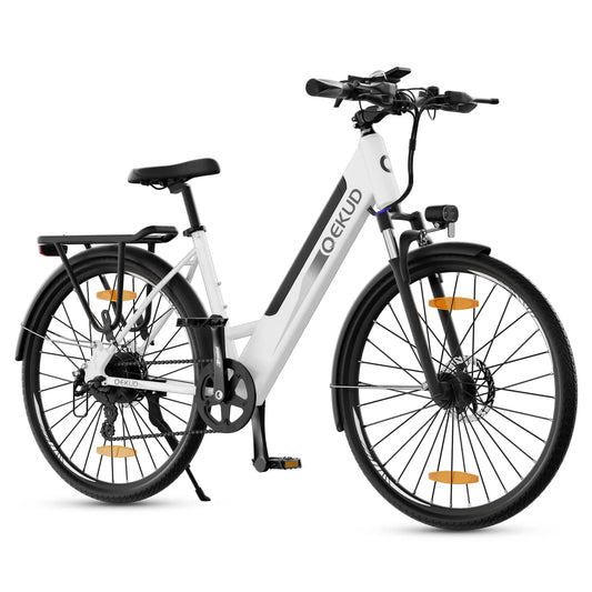 Electric bicycle Qekud 26M 13Ah 250W