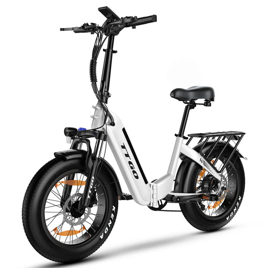 Electric bicycle TTGO F6 25Ah 250W